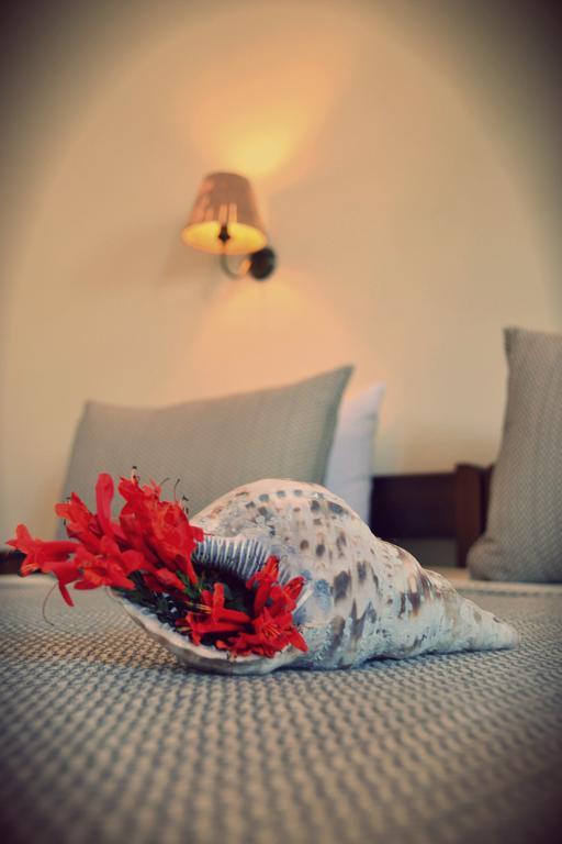 Anemologio Apartment Finikas  Ruang foto